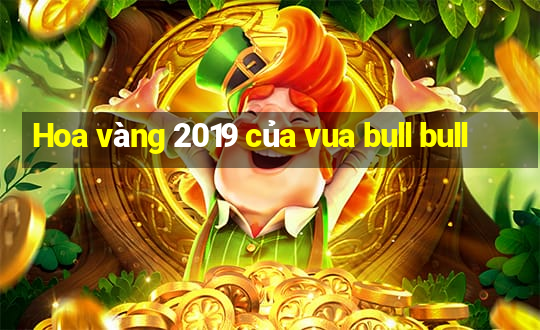 Hoa vàng 2019 của vua bull bull