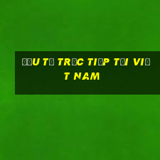 Đầu tư trực tiếp tại Việt nam