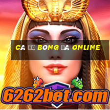 cá độ bóng đá online