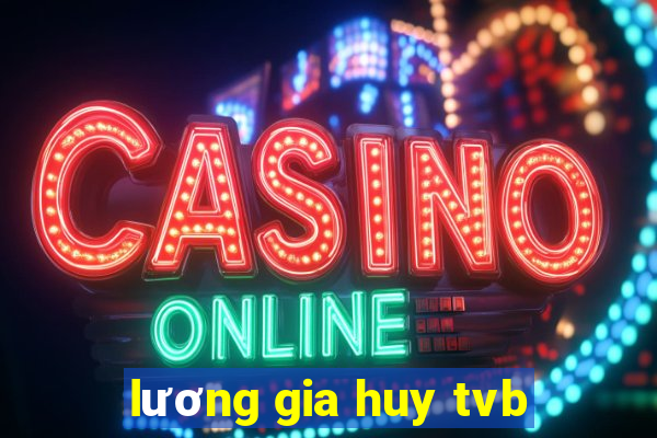 lương gia huy tvb