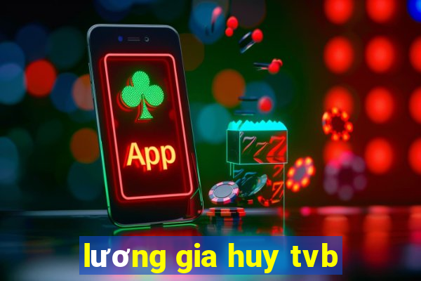 lương gia huy tvb