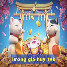 lương gia huy tvb