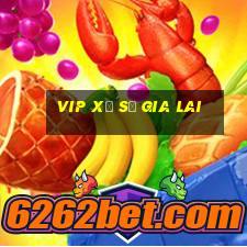 vip xổ số gia lai