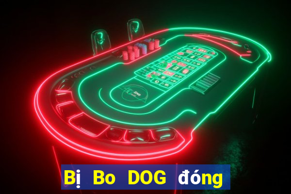 Bị Bo DOG đóng băng tài khoản