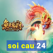 soi cau 24