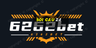 soi cau 24