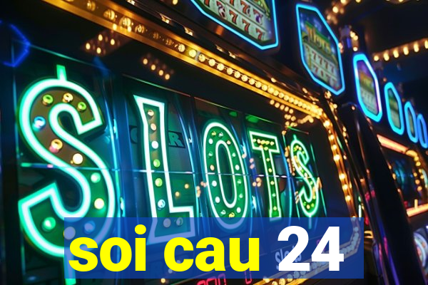 soi cau 24