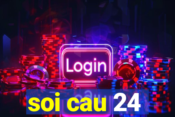 soi cau 24