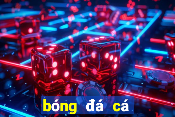 bóng đá cá cược nhà cái