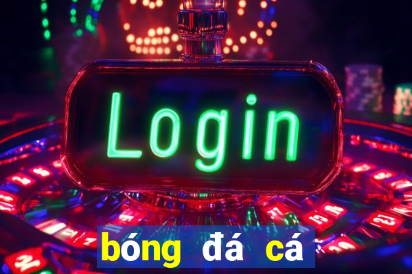 bóng đá cá cược nhà cái