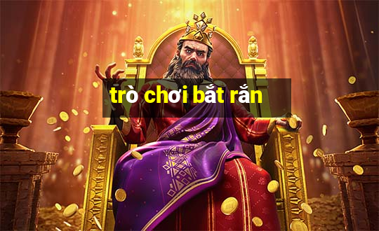 trò chơi bắt rắn