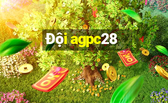 Đội agpc28