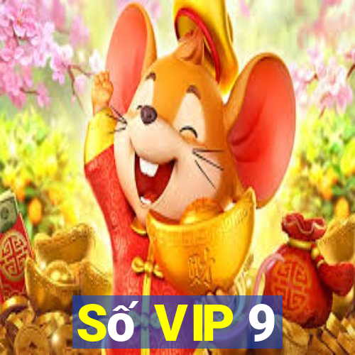 Số VIP 9