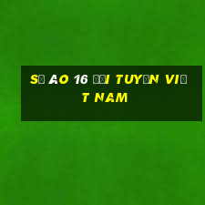 số áo 16 đội tuyển việt nam