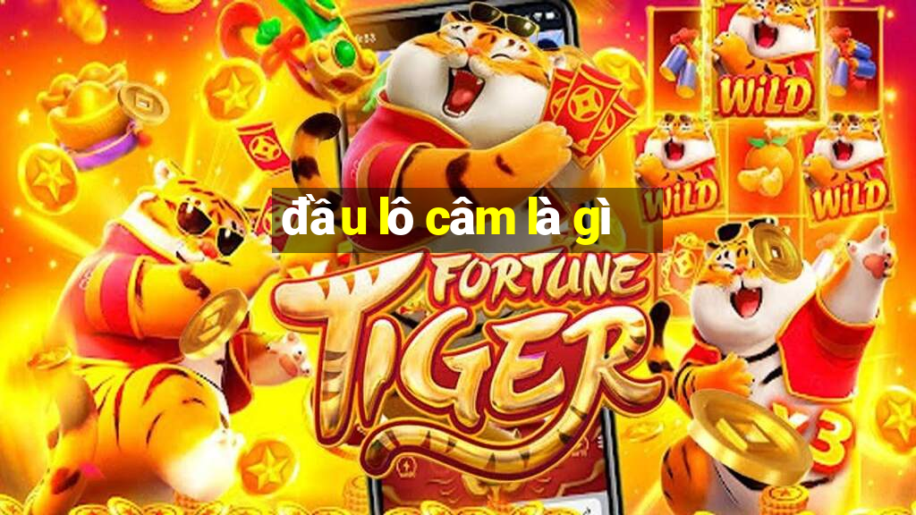 đầu lô câm là gì