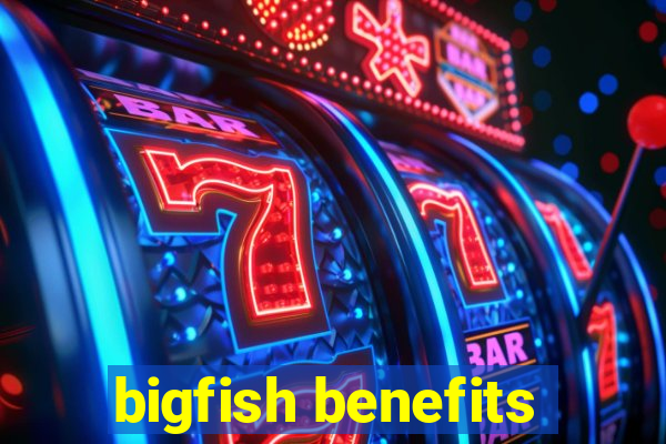 bigfish benefits