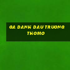 ga danh dau truong thomo