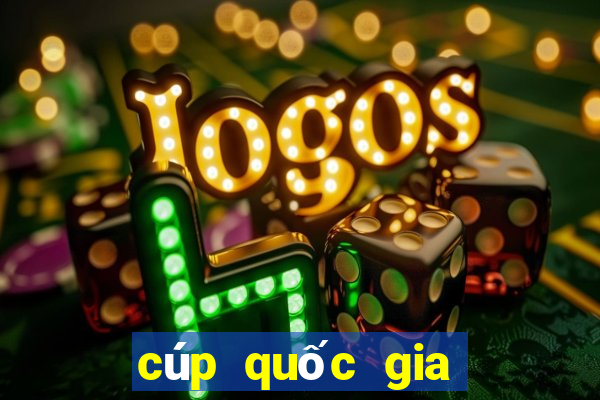 cúp quốc gia việt nam hôm nay