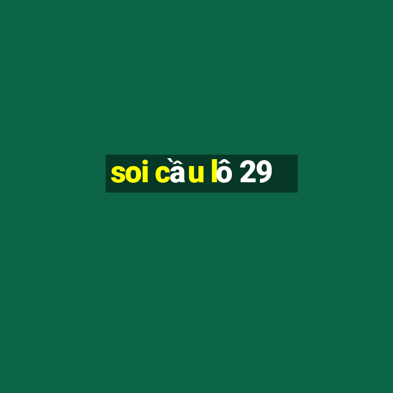 soi cầu lô 29