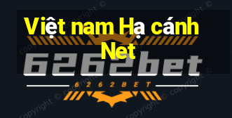 Việt nam Hạ cánh Net