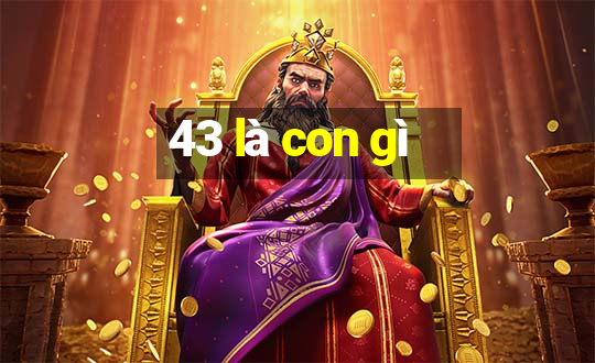 43 là con gì