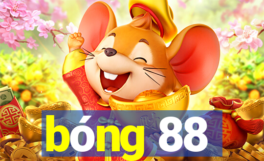 bóng 88