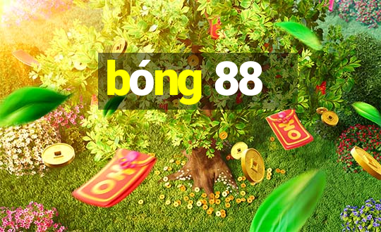 bóng 88