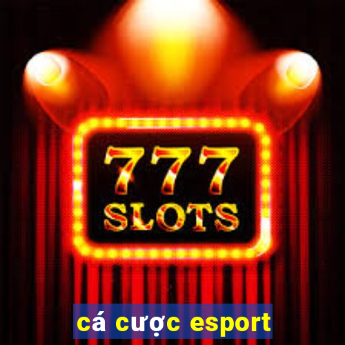 cá cược esport