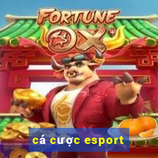 cá cược esport