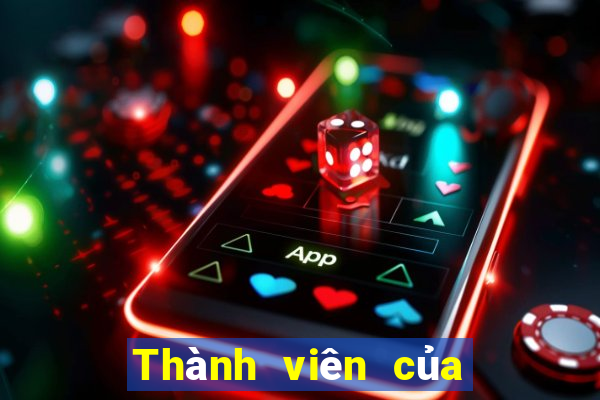 Thành viên của Sails giải trí