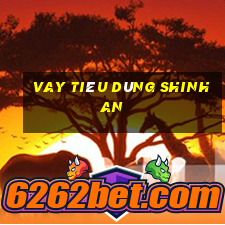 vay tiêu dùng shinhan