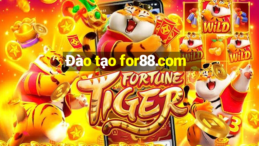 Đào tạo for88.com