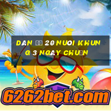 dàn đề 20 nuôi khung 3 ngày chuẩn