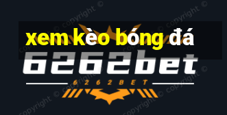 xem kèo bóng đá