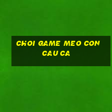 choi game meo con cau ca