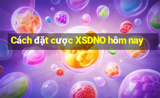 Cách đặt cược XSDNO hôm nay