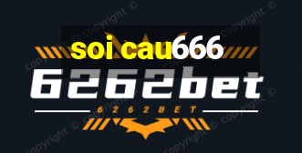 soi cau666