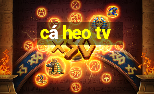 cá heo tv