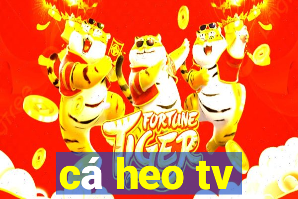 cá heo tv