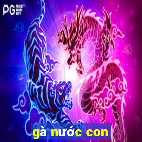 gà nước con