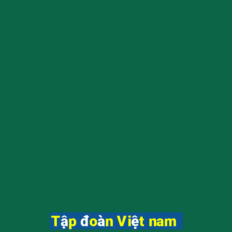 Tập đoàn Việt nam