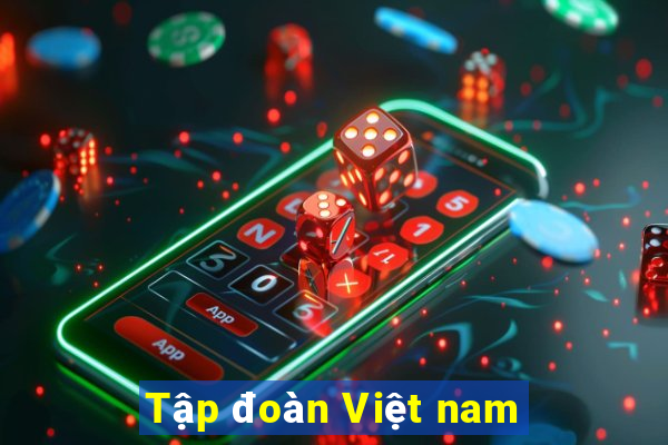 Tập đoàn Việt nam