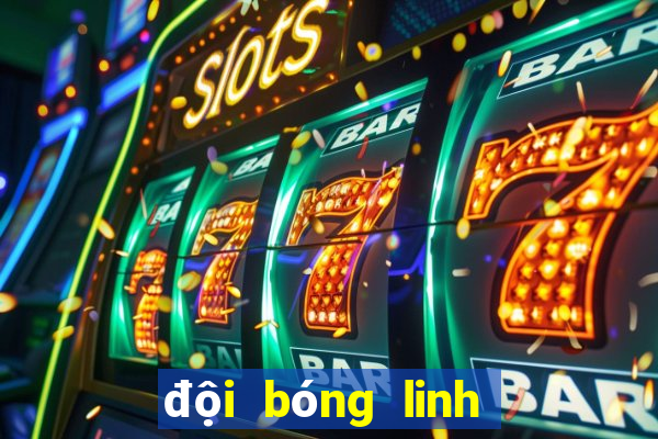 đội bóng linh dương đen