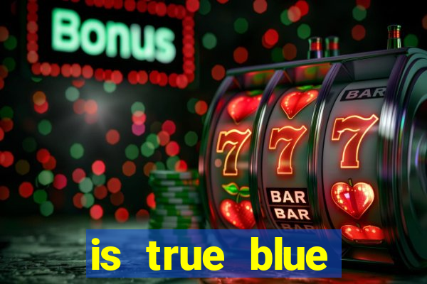 is true blue casino safe