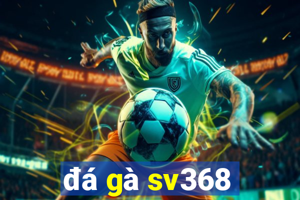 đá gà sv368