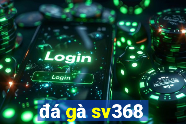 đá gà sv368