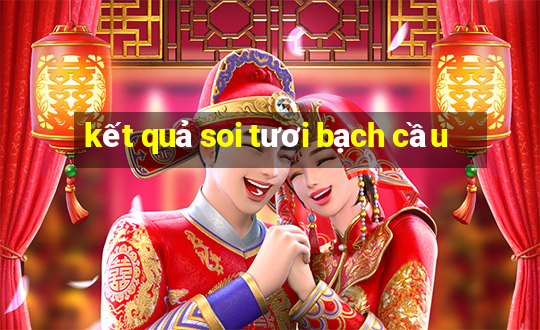 kết quả soi tươi bạch cầu