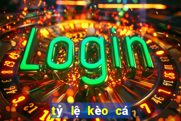 tỷ lệ kèo cá cược bóng đá euro