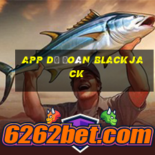 app dự đoán blackjack