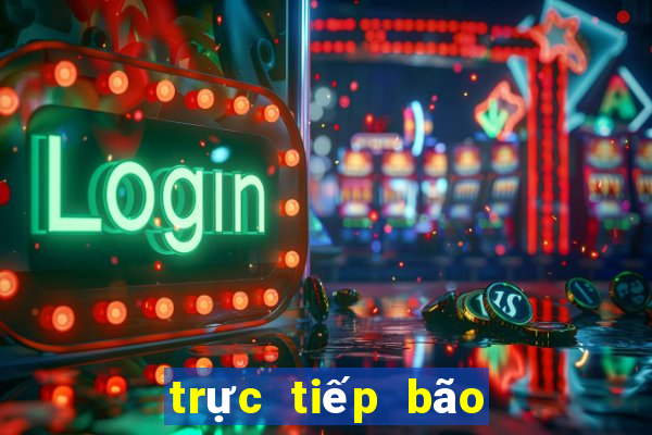 trực tiếp bão miền trung